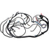 Premium Complete Stand Alone Engine Wire Harness For 1997-2006 LS1 4.8 5.3 6.0 Engines W/T56 DBC
