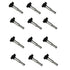 Set of 12 Premium Ignition Coils Coil on Plug COP Pencil Pack For 2002-2012 Audi A8 Quattro Bentley Continental Volkswagen Passat and Phaeton